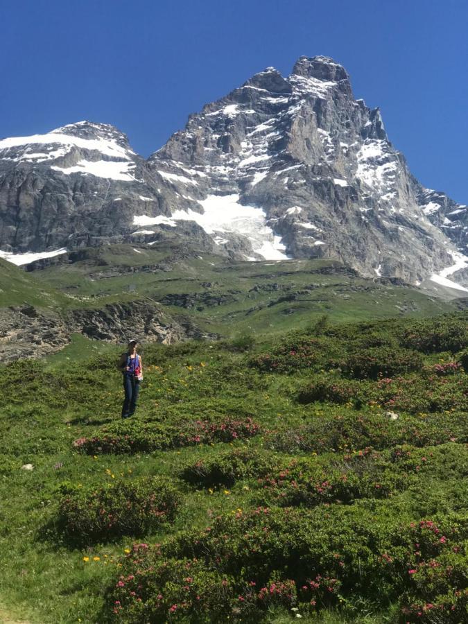 Piccolo Paradiso In Centro Cervinia Breuil-Cervinia Ngoại thất bức ảnh